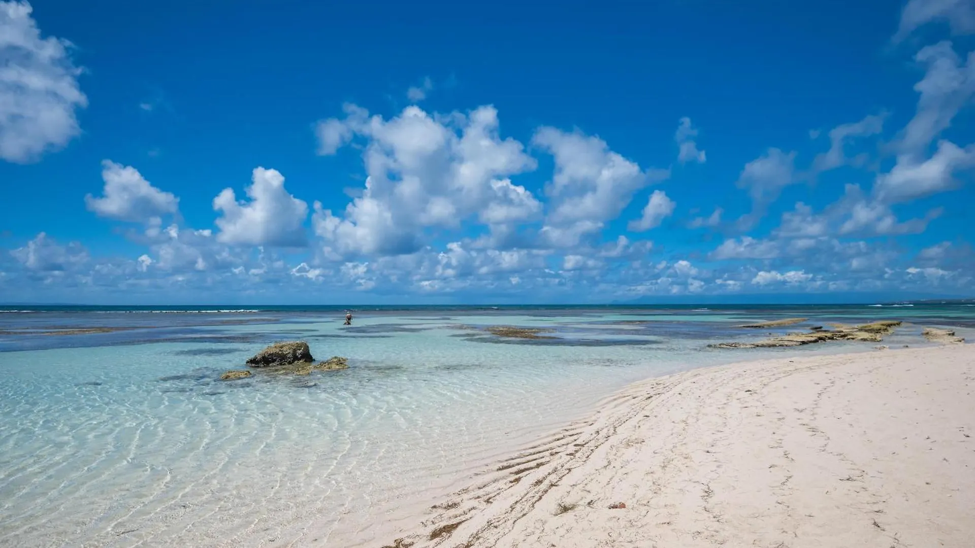 Le Flamboyant Tropical Lägenhet Saint-Francois   Saint-Francois (Grande-Terre)