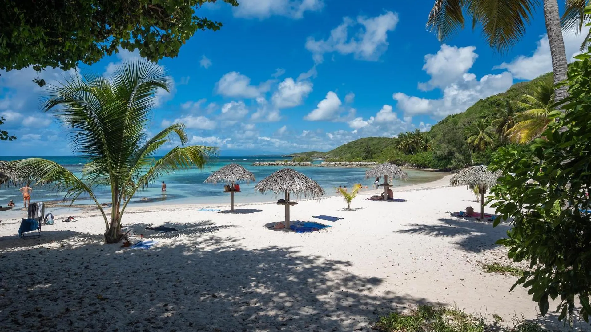 Le Flamboyant Tropical Lägenhet Saint-Francois