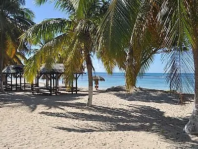 Le Flamboyant Tropical Lägenhet Saint-Francois